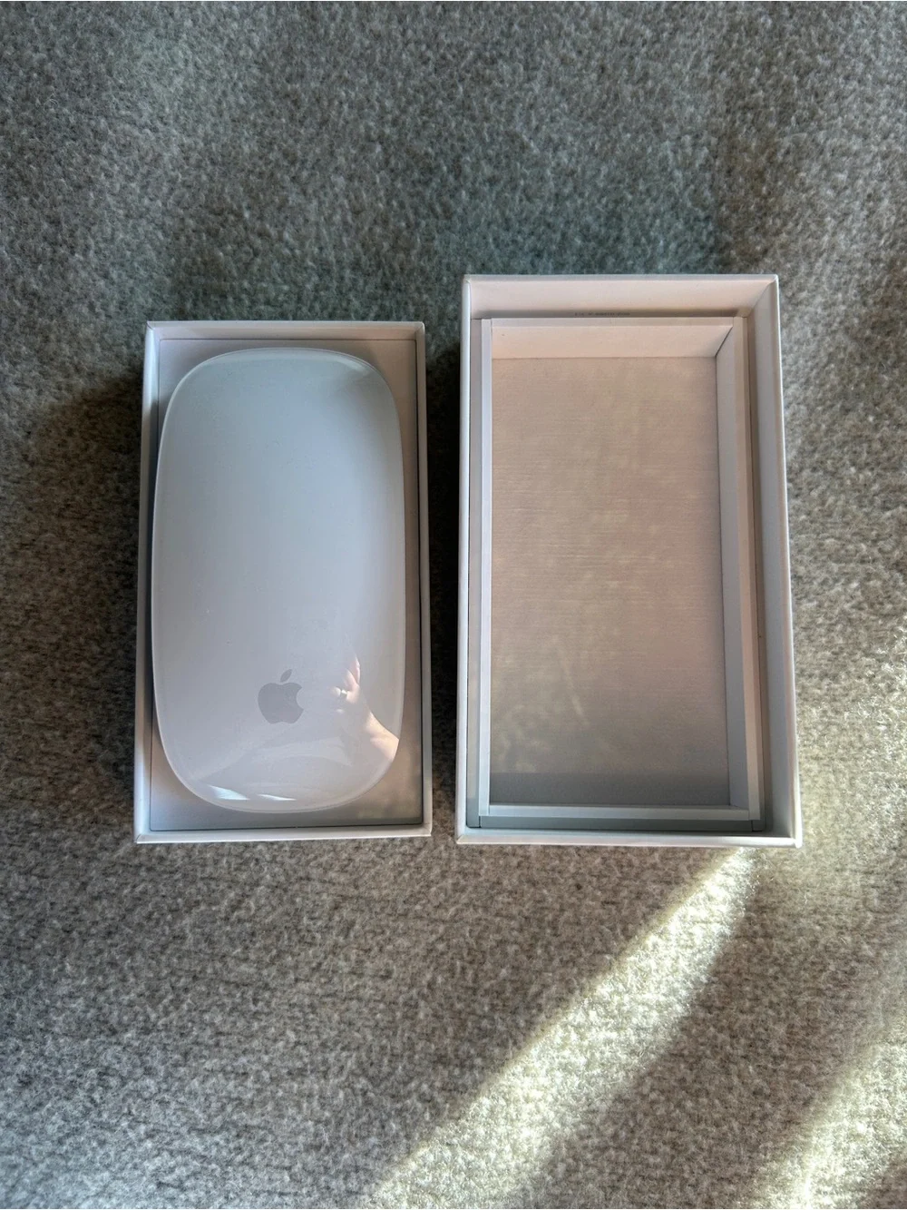 Apple magic mouse
